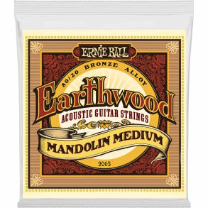 Ernie Ball 2065 Earthwood 80/20 Mandolin Medium Loop End
